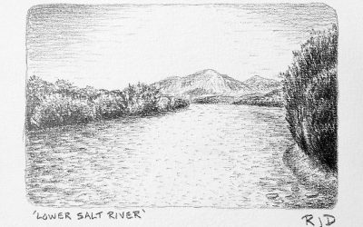 Recent Pencil Drawings