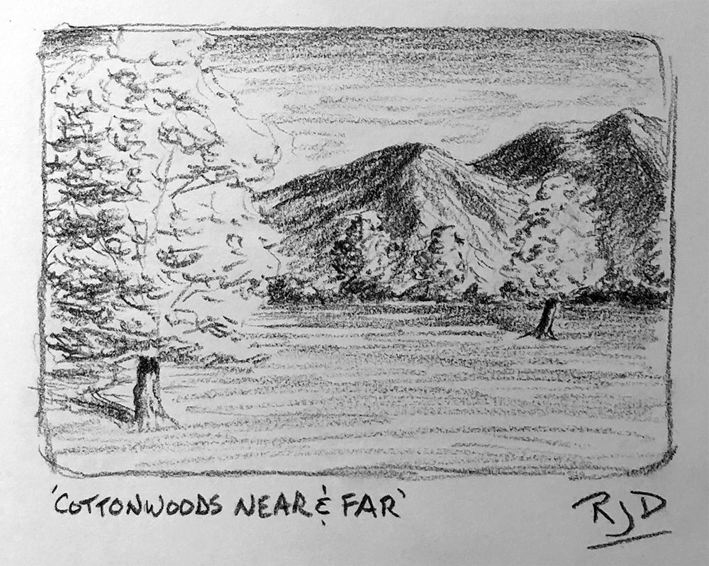 Cottonwoods Near and Far Pencil Sketch RJD Fine Art